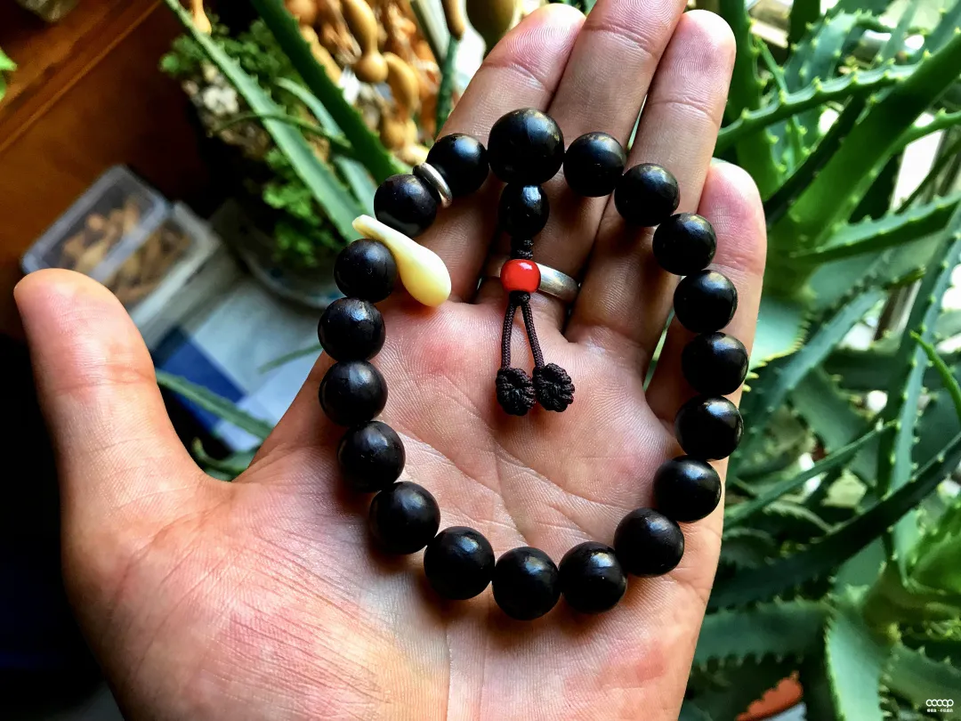 它是最古老的菩提手串,一斤才几十元,随便盘盘就出玻璃底