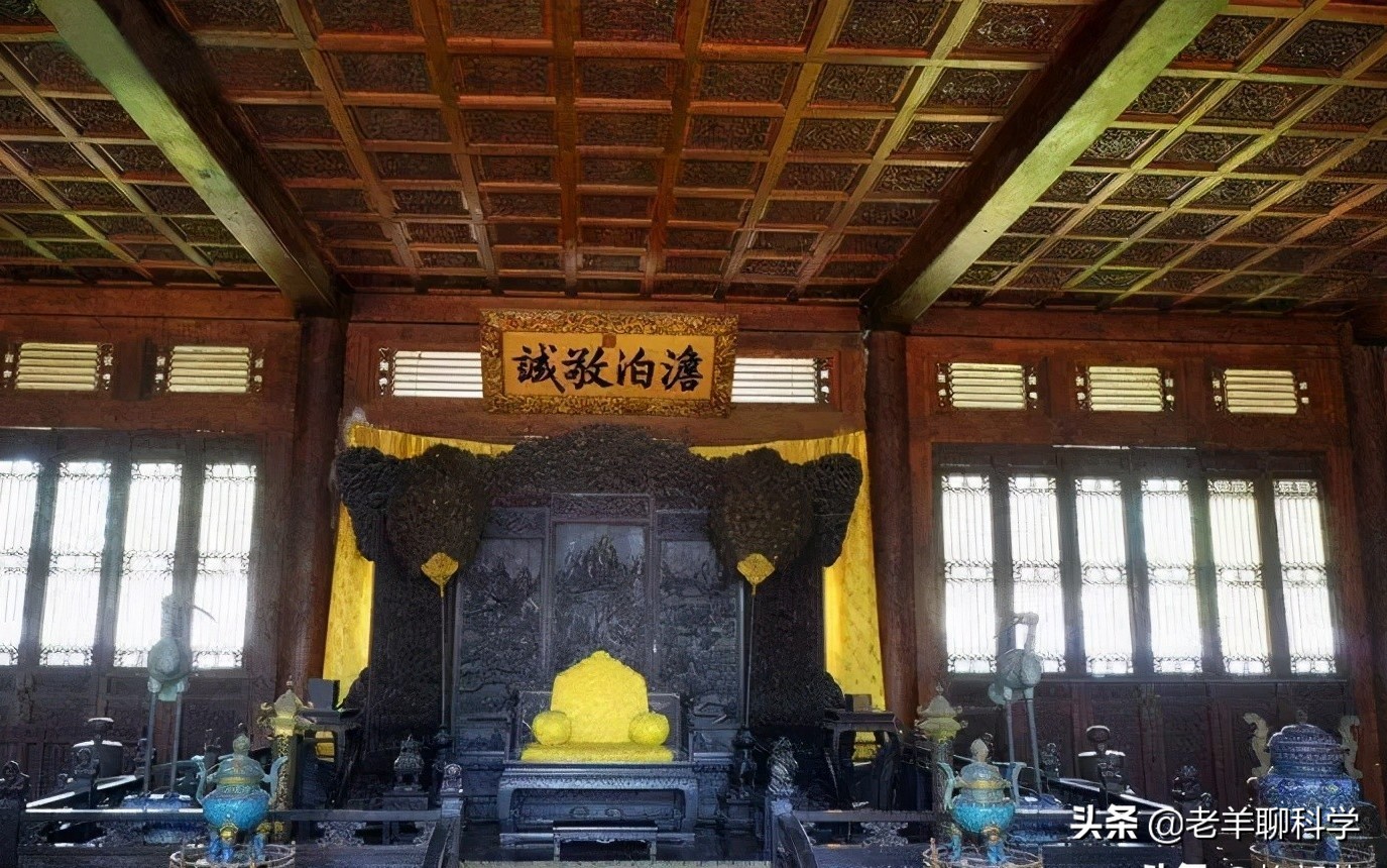楊樹苗多少錢一棵,小葉黃楊樹苗多少錢一棵