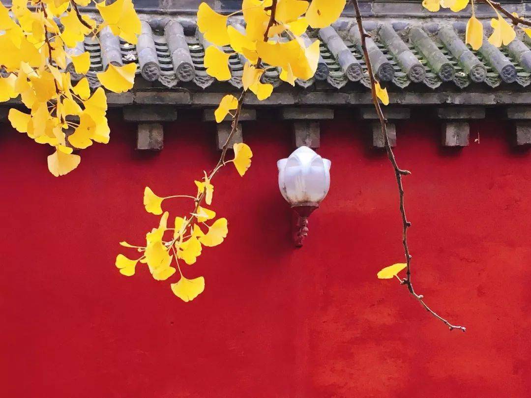 郑州这10个绝佳赏秋地，风景绝美，很多地方都还免费