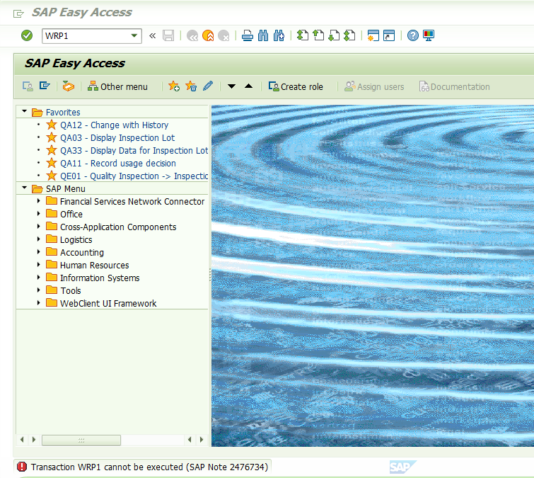 SAP RETAIL 執行WRP1，報錯-Transaction WRP1 cannot be executed