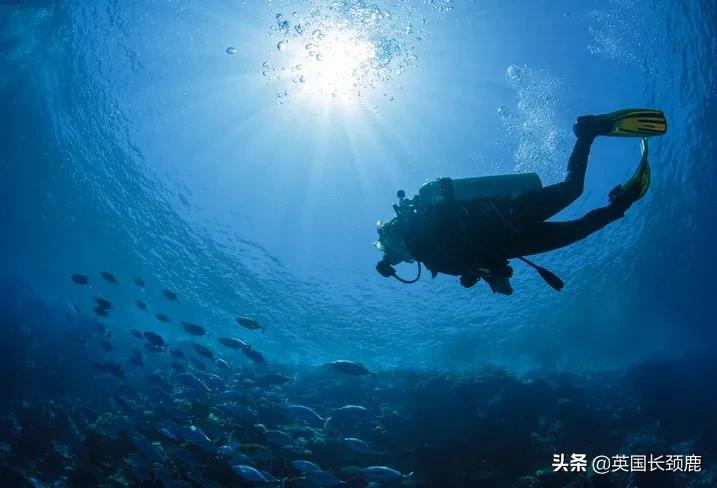 英国10大上天下地户外运动推荐：跳伞潜水真人cs...开启刺激之夏