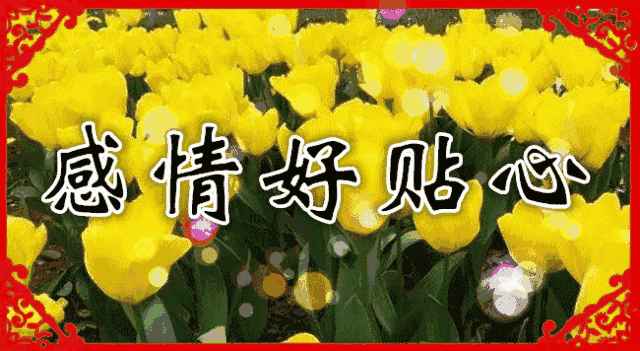 640_351gif 动态图 动图