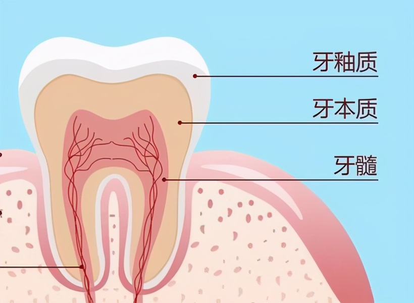 号称“蛀牙救星”的根管治疗，凭什么比补牙贵好几倍？