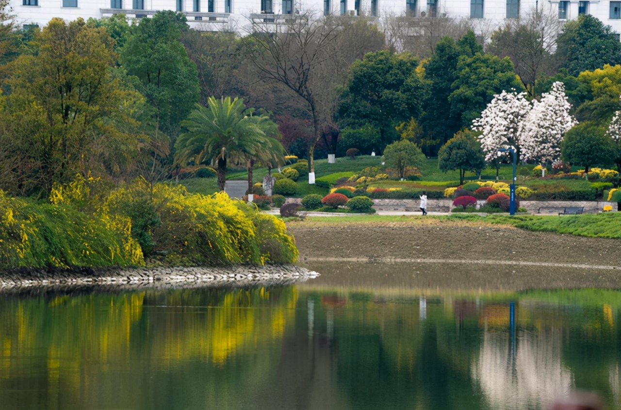 电子科技大学录取分最高的5大专业，个个是热门，好就业薪资高