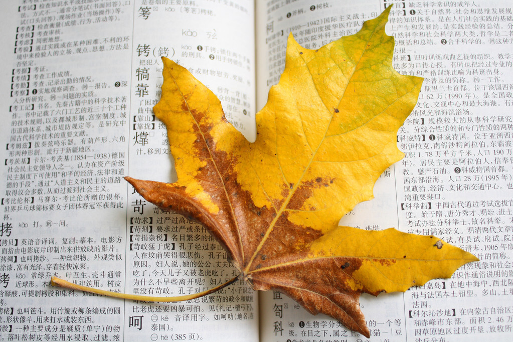 复旦大学出版专硕2022考研解析