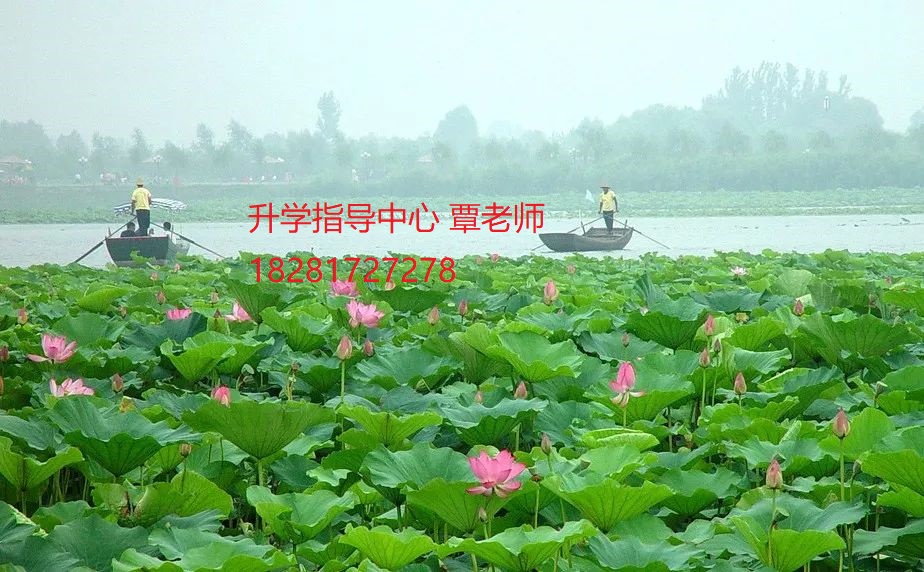 广元昭化区职业高级中学2020招生简章