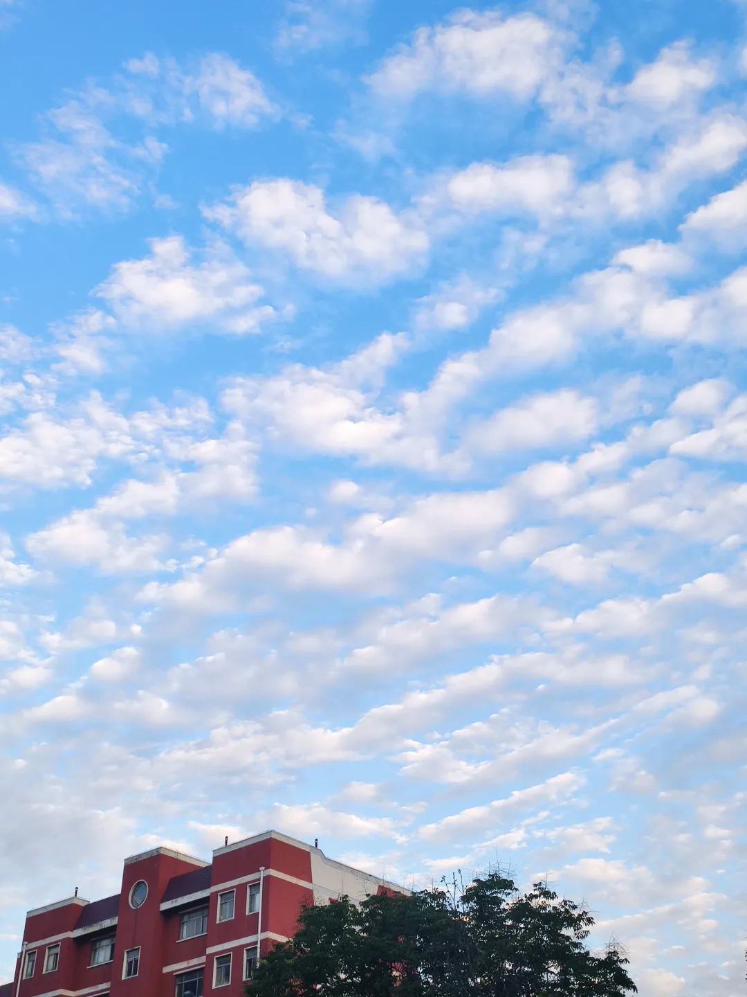 优微推荐｜窗户里的农大