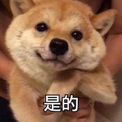 jpg格式照片压缩方法技巧