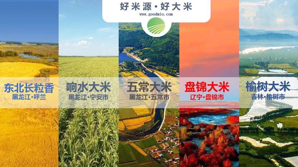 访谈|亨利音乐馆CEO张哲轩: 从奢侈品钢琴跨界第一产业制造