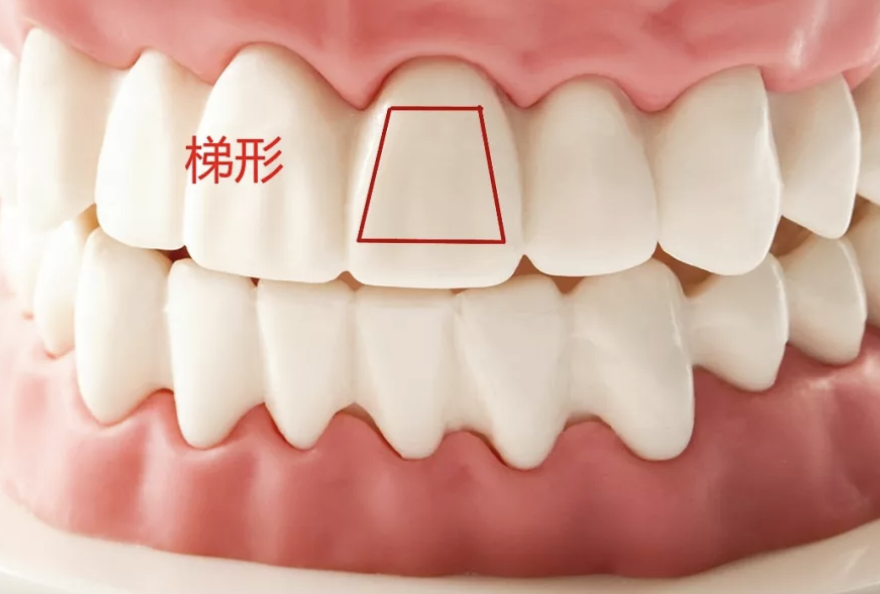 牙科再见，每天在家2分钱洗牙，牙医根本不想你知道！