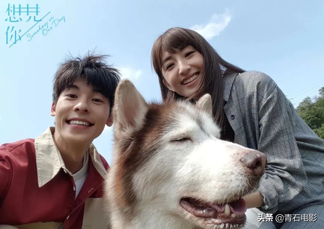 豆瓣10大熱門臺劇，《流星花園》僅排第6，《王子變青蛙》墊底