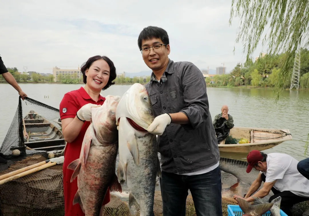 金职喊你免费吃鱼啦