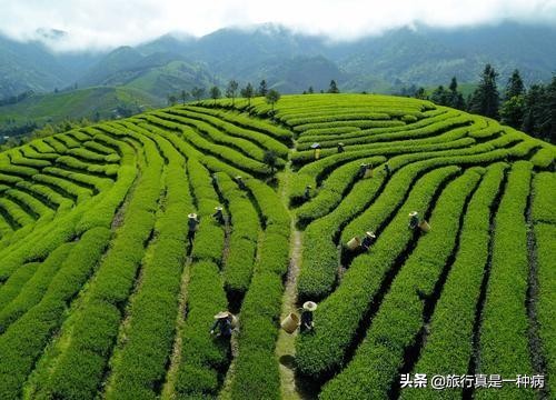 武夷山属于哪个省(武夷山景区到底是归福建省还是江西省呢？今天我来给你正确答案)