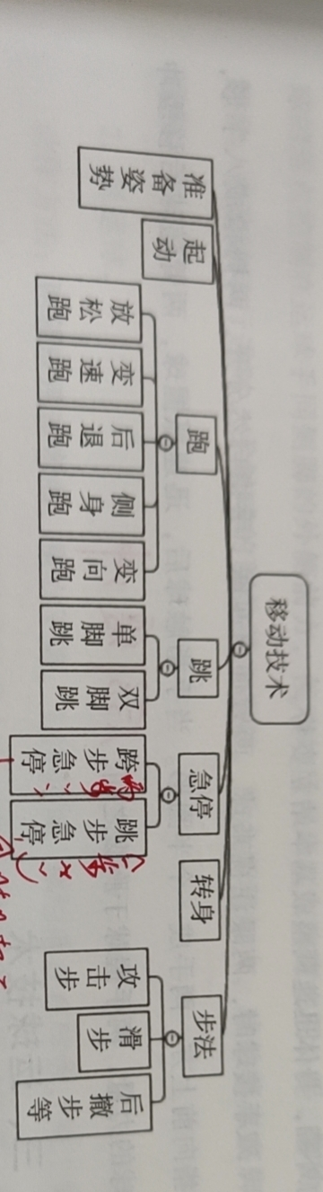 篮球比赛分为多少步(硬核科普~  篮球运动的主要技术、战术)