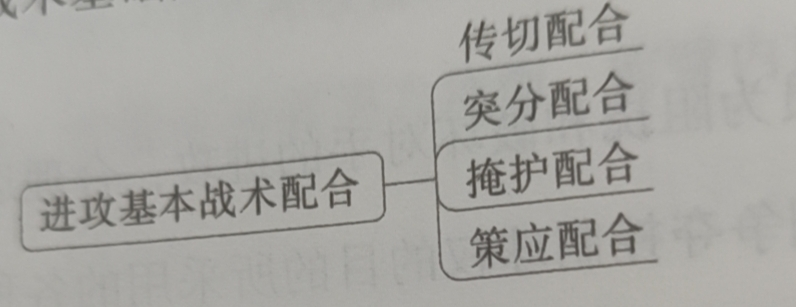 篮球比赛分为多少步(硬核科普~  篮球运动的主要技术、战术)