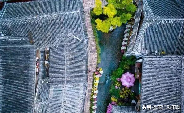 丽江在线（丽江）