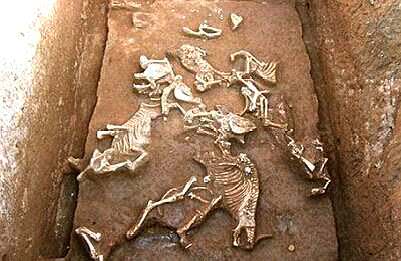 《皓镧传》中皓镧的原型赵姬的婆婆,也就是秦王孙异人的生母夏姬仅仅