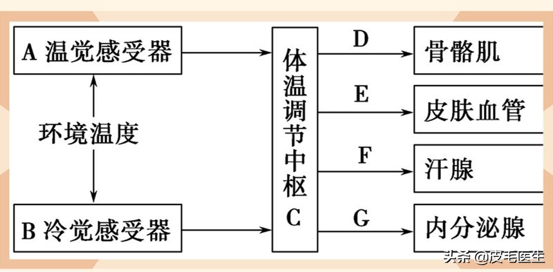 新冠怕冷吗