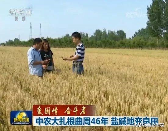 这些大学被央视点名表扬！清华大学不意外，居然还有塔里木大学？