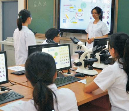 2020年3+证书最低录取167分，广东江门中医药职业学院介绍