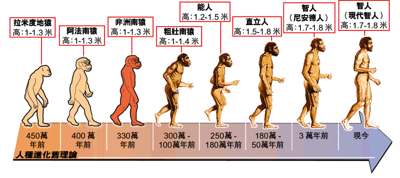 进化论有3个“诡异之处”，达尔文也无法解释，人类起源再被质疑