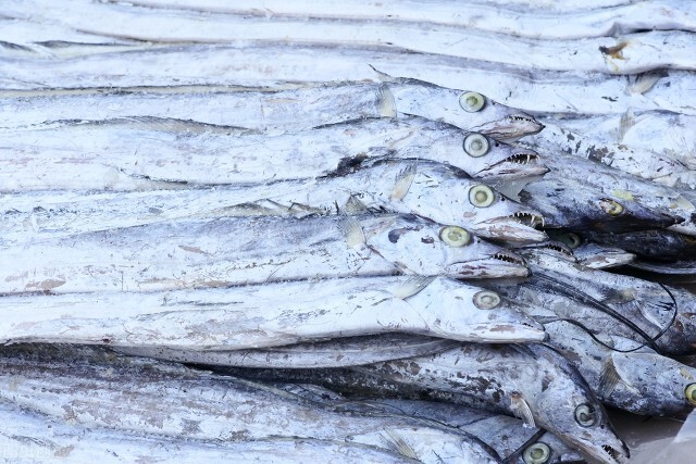 買帶魚時，黑眼睛和黃眼睛區(qū)別大，牢記4買3不買，帶魚鮮嫩味美
