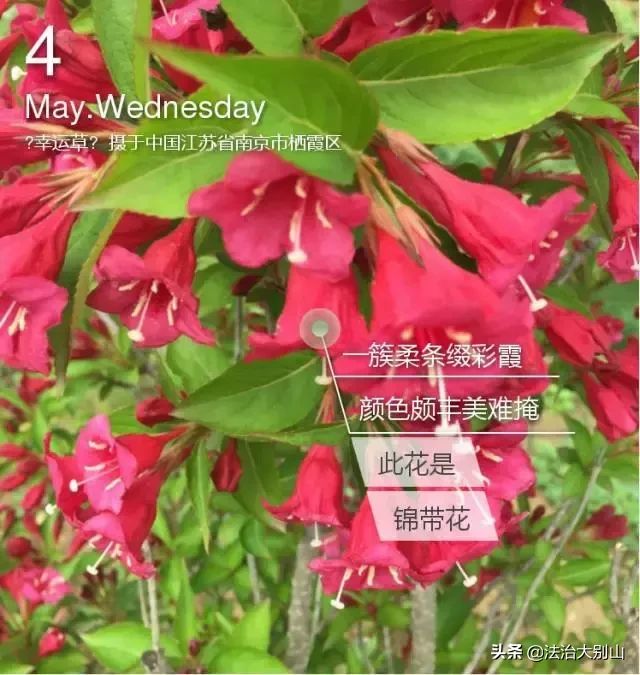 高考在即，黄冈中学名师教你各科踢好