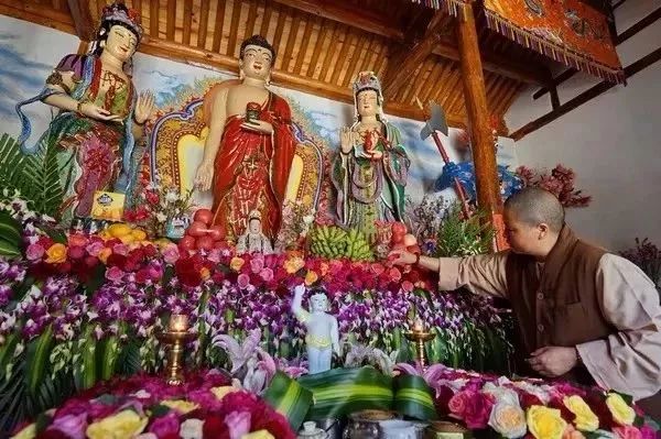 中国最文艺尼姑庵，不烧香只种花，美得想出家！韩红也慕名来参访
