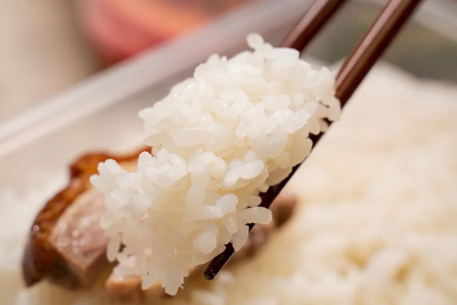 魔都平价又好吃的烧鸭/油鸡饭有哪些？