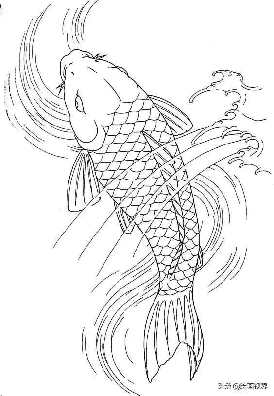 从线条到造型,教你用最简单的线条画最美的锦鲤