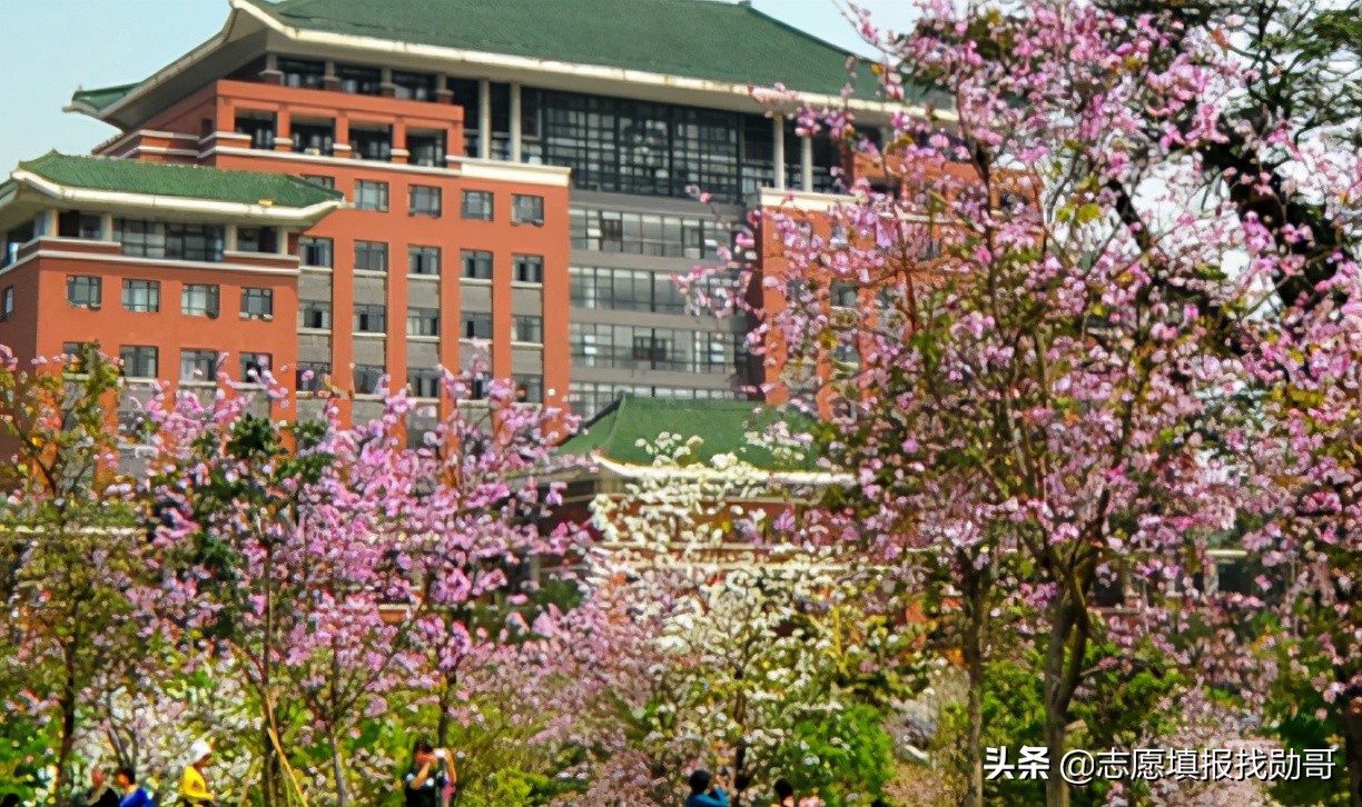 华南农业大学林学院图片
