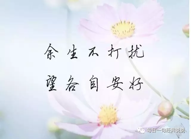 发快手的句子伤感现实（现实生活又很扎心的句子） 第17张