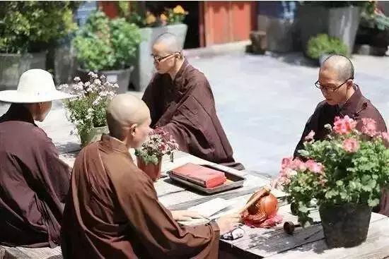中国最文艺尼姑庵，不烧香只种花，美得想出家！韩红也慕名来参访