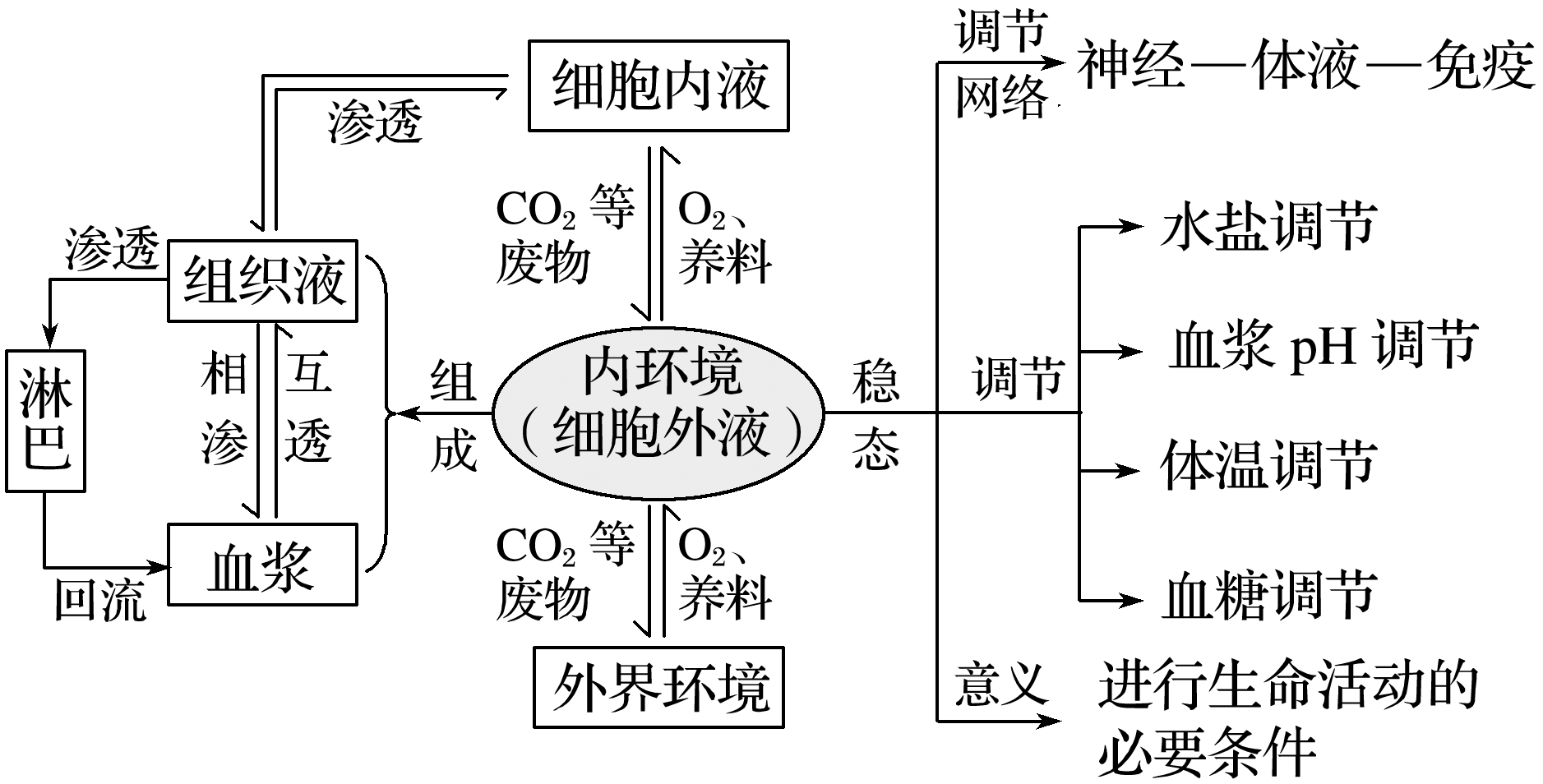 2021届高中生物备考:内环境与稳态的知识点总结