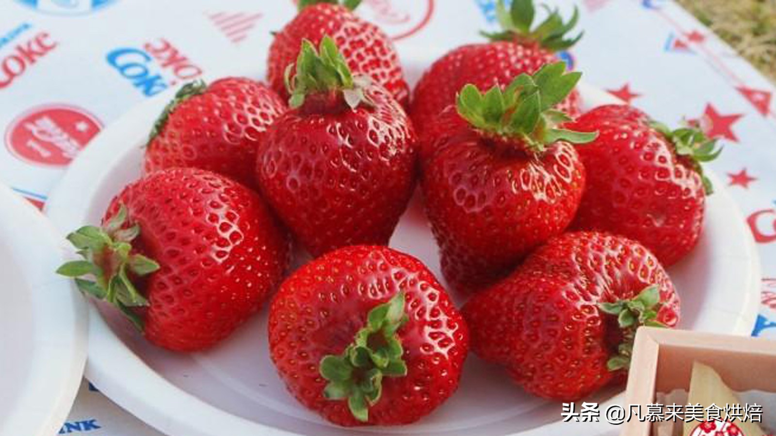 24种常见草莓品种，中国20大草莓产地？哪里的草莓最好吃？