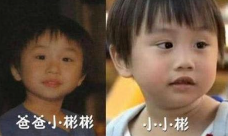 5位童星现状，有人前途大好，有人沦为阶下囚，有人已离世