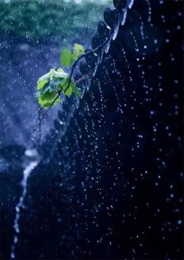 下雨天，随处都是景，怎么拍出意境？