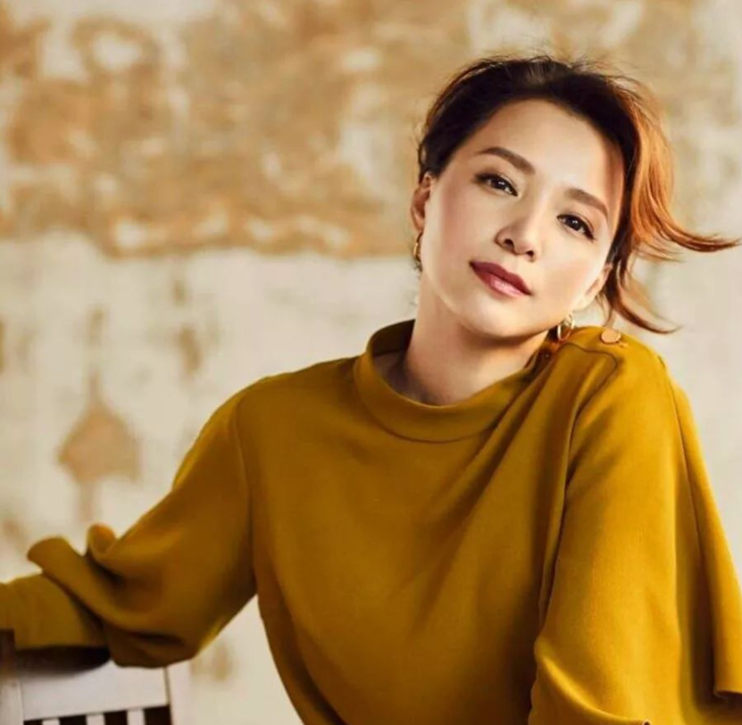 “央视一姐”董卿：连续主持13届春晚，却因赴美生子惨遭网友痛骂