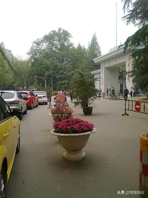 百年名校南京大学一日游，八年前的老照片带你回忆南大