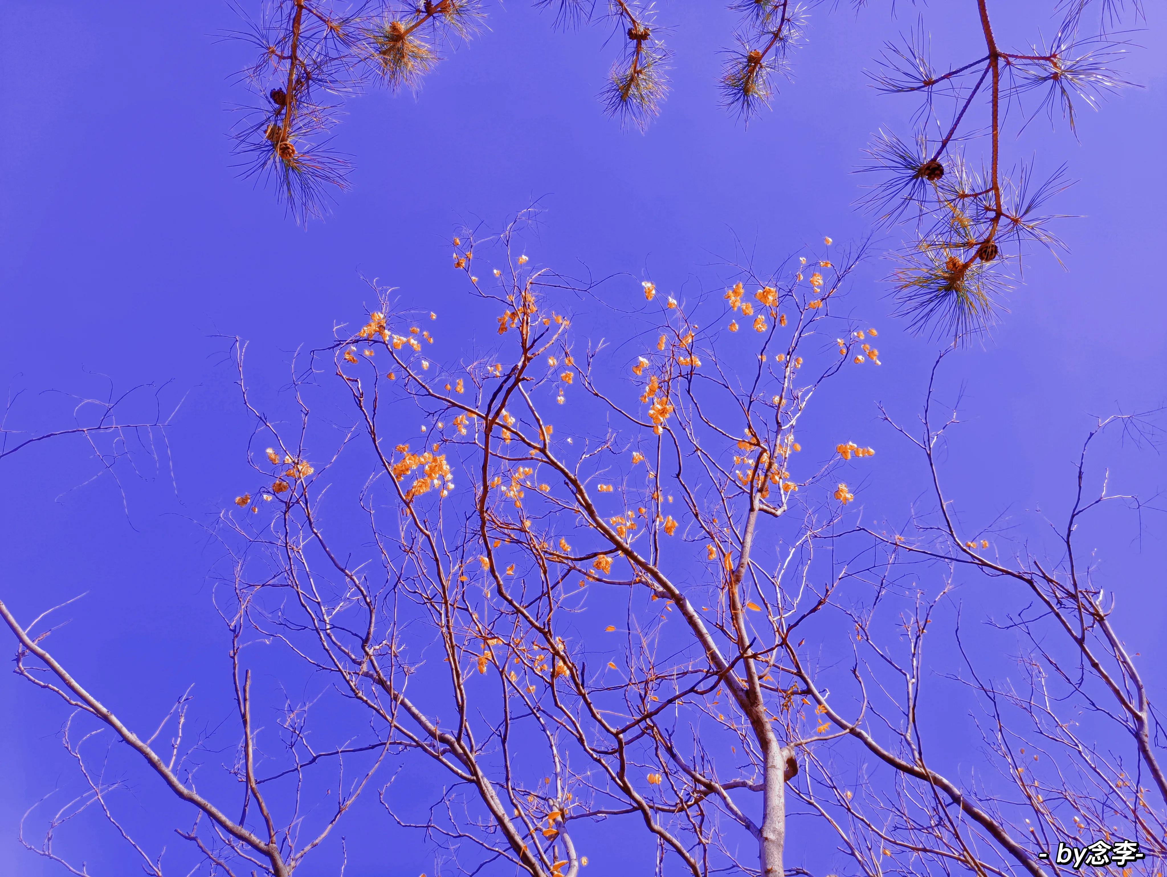 紫色的含义你知道吗？身边有喜欢紫色的人一定要注意了
