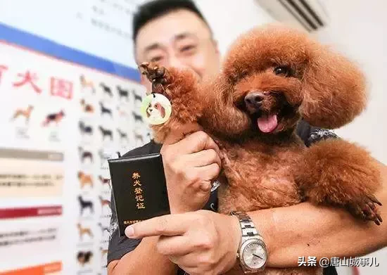 2019唐山全面爆发,790万唐山人的身价要涨了