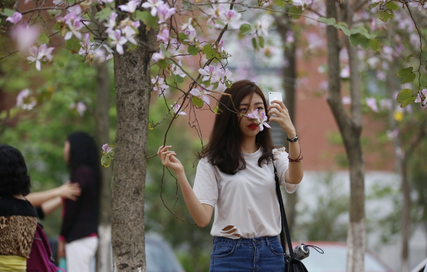 2020华南高校教学质量排名，中山大学榜首，华南农大挤入前五