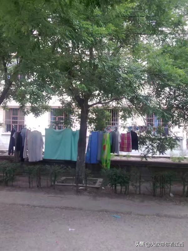 大同医专校园回忆