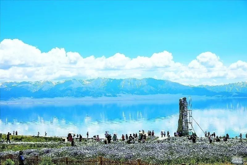 深度还原成都49中学生坠亡事件丨浙江衢州一凉亭垮塌，4人遇难