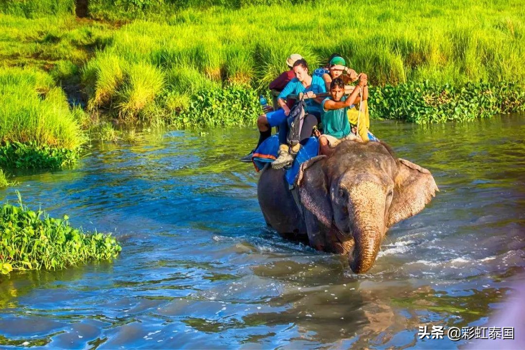 旅遊團去泰國多少錢(同樣遊泰國團費低的一兩千元高的要上萬元到底差