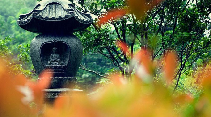 「诗词鉴赏」雨后的夏天 雨后的诗，另一番美丽