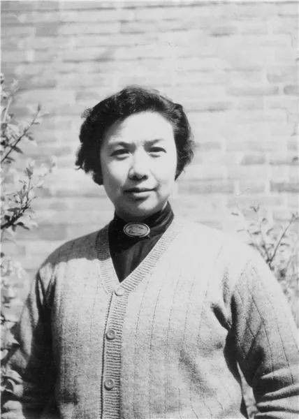 党中央高层被捕，女特工贺治华却称有内奸，陈赓：内奸就是她