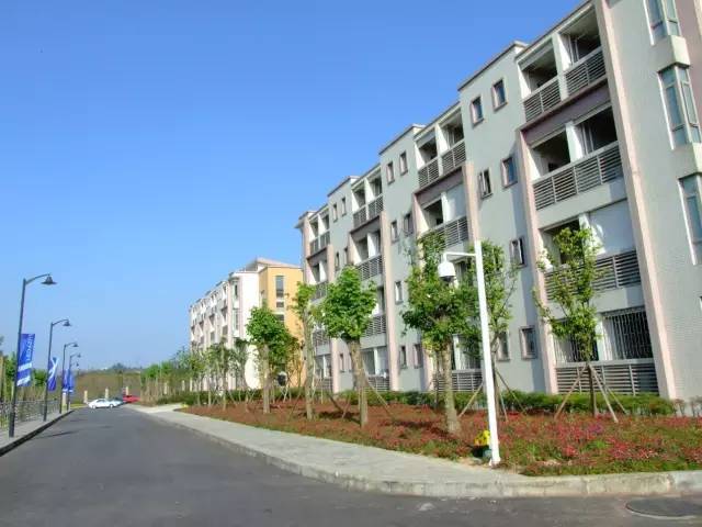 重庆国际学校有哪些？看完才知道和公立学校的区别