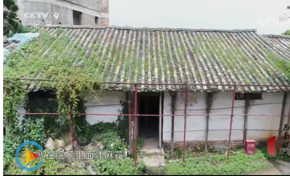 大学生“增负”？看看这部纪录片，现在的大学生活简直太轻松了