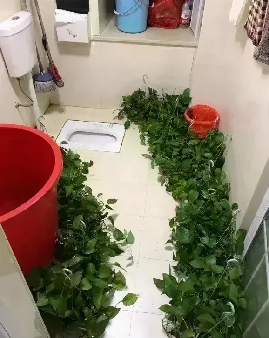 看着爸妈为我辛苦设计装修好的房子，我流下了泪水 